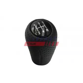 Pommeau FAST FT00173