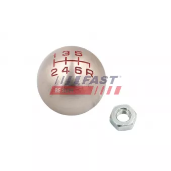 Pommeau FAST FT00174