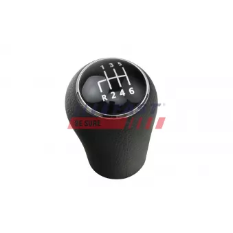 Pommeau FAST FT73241