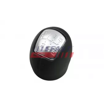 Pommeau FAST FT73243