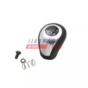 Pommeau FAST FT73244