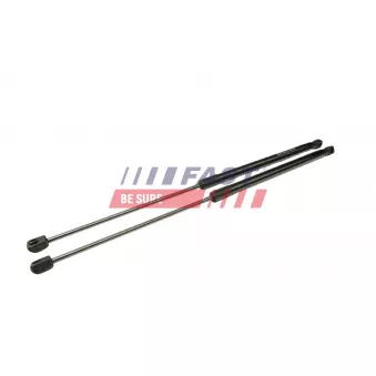 Vérin de hayon, de coffre FAST FT00197K