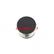Poulie, alternateur FAST FT45708 - Visuel 3