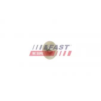 Clip, enjoliveur FAST FT96608