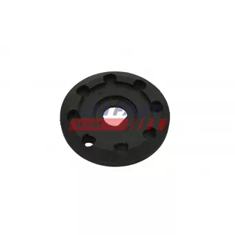 Patin de ressort FAST FT12452
