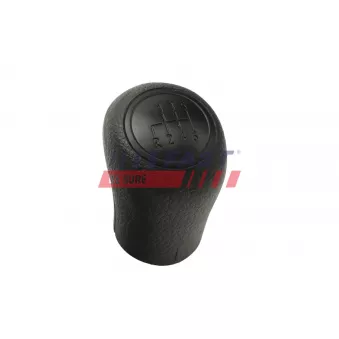 Pommeau FAST FT73246