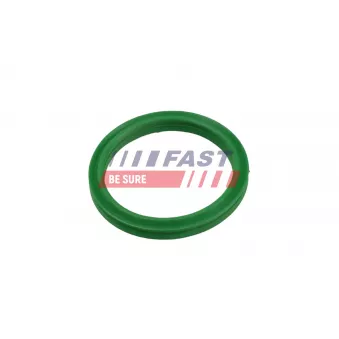 Bague d'étanchéité, gaine de suralimentation FAST FT49936