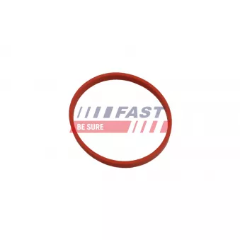 Joint, flexible vanne EGR FAST FT49868