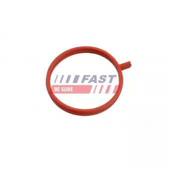 Bague d'étanchéité, gaine de suralimentation FAST FT48963