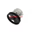 Pompe hydraulique, direction FAST FT36256 - Visuel 1