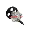 Pompe hydraulique, direction FAST FT36256 - Visuel 2