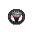 Poulie, vilebrequin FAST FT10051 - Visuel 1