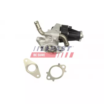 Vanne EGR FAST FT10061