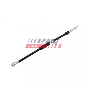 Flexible de frein FAST