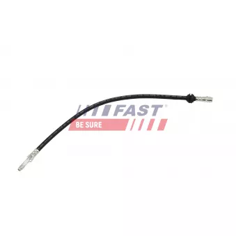 Flexible de frein FAST