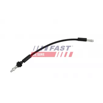Flexible de frein FAST