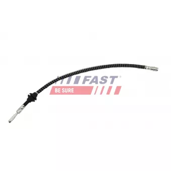 Flexible de frein FAST