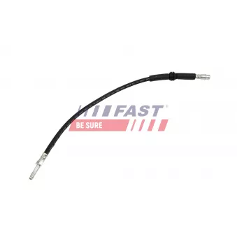 Flexible de frein FAST
