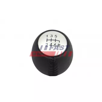 Pommeau FAST FT00450