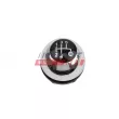 Pommeau FAST FT00451 - Visuel 1