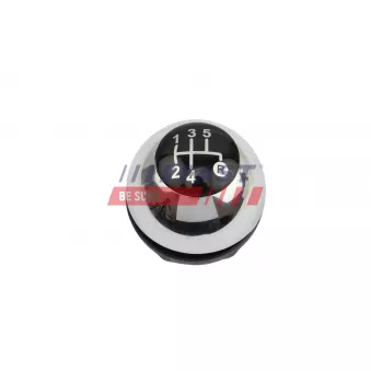 Pommeau FAST FT00451