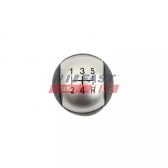 Pommeau FAST FT00452