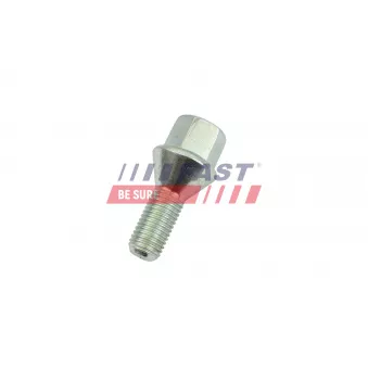 Vis de roue FAST FT10436
