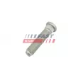 Vis de roue FAST FT10437 - Visuel 1