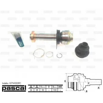 Embout de cardan avant (kit de réparation) PASCAL G7W022PC