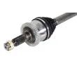 Embout de cardan avant (kit de réparation) PASCAL G7Y005PC - Visuel 2