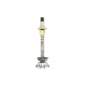 Embout de cardan avant (kit de réparation) PASCAL G8W005PC