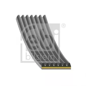 Courroie trapézoïdale à nervures FEBI BILSTEIN