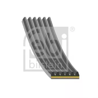 Courroie trapézoïdale à nervures FEBI BILSTEIN