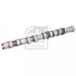 Arbre à came FEBI BILSTEIN 195091 - Visuel 1