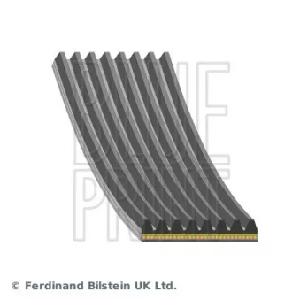 Courroie trapézoïdale à nervures BLUE PRINT AD08A1055