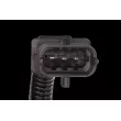Capteur d'angle, vilebrequin VALEO 366584 - Visuel 2