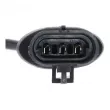 Capteur d'angle, vilebrequin VALEO 366848 - Visuel 1