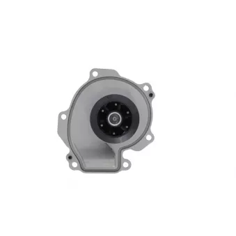 Pompe à eau VALEO 529399