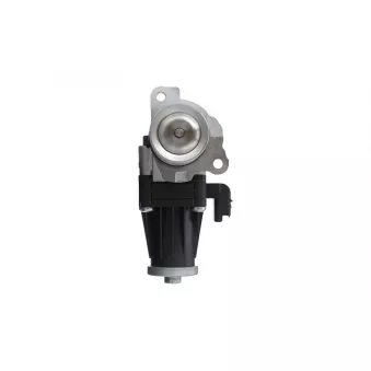 Vanne EGR VALEO 703201