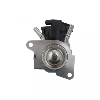 Vanne EGR VALEO 703203