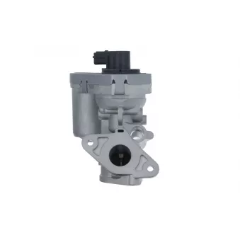 Vanne EGR VALEO 703215