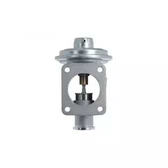 Vanne EGR VALEO 703239