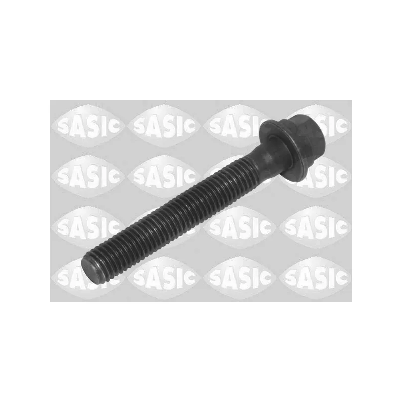 Vis de poulie SASIC 8706028