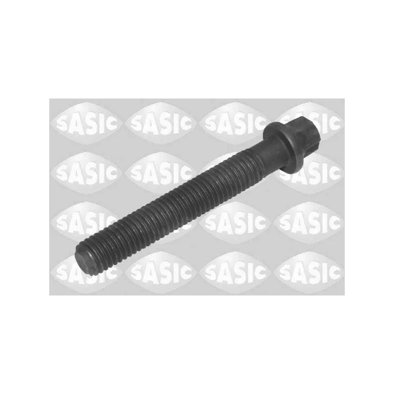 Vis de poulie SASIC 8706029