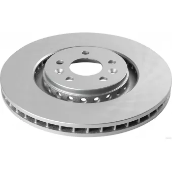 Jeu de 2 disques de frein avant HERTH+BUSS JAKOPARTS J3301119