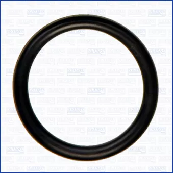 Joint, tuyauterie de liquide de refroidissement AJUSA 16102100