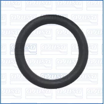 Joint, raccord d'eau (compresseur) AJUSA 16545200