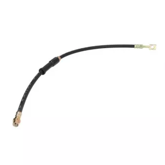 Flexible de frein ABE C81248ABE