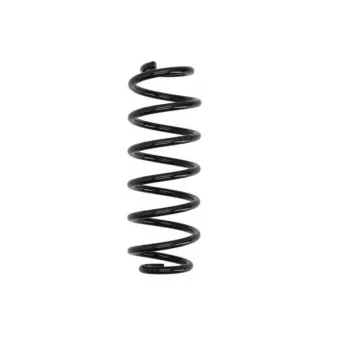 Ressort de suspension MAGNUM TECHNOLOGY