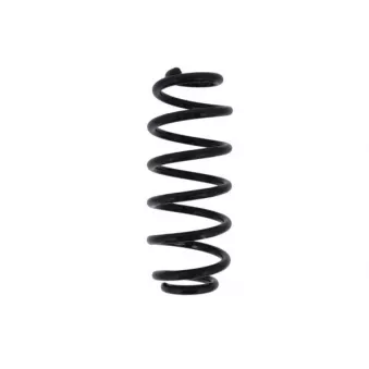 Ressort de suspension MAGNUM TECHNOLOGY